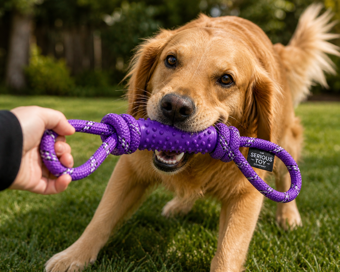Interactive Rope Tug Dog Toy with Rubber Grip – Durable Chew & Training Toy | The Serious Toy Company - Image 5