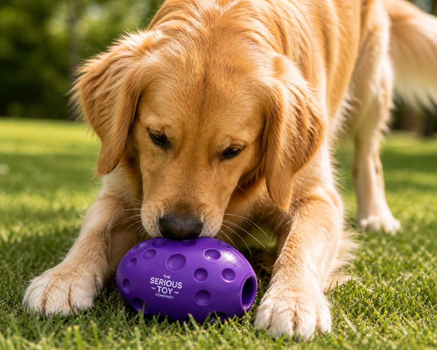 Interactive Treat Dispensing Dog Toy Ball – Durable Rubber Puzzle Feeder Toy | The Serious Toy Company - Image 5